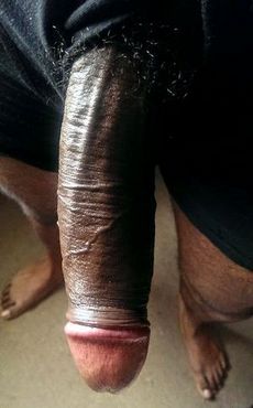 Cock images
